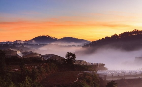 hình ảnh trại mát đà lạt