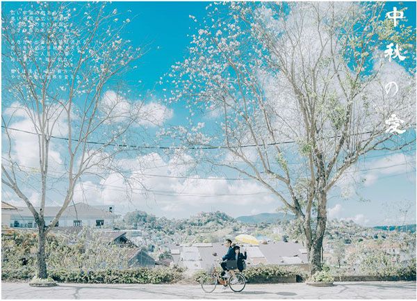 Hoa ban Đà Lạt