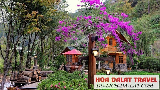 Khách sạn Ma Rừng Lữ Quán
