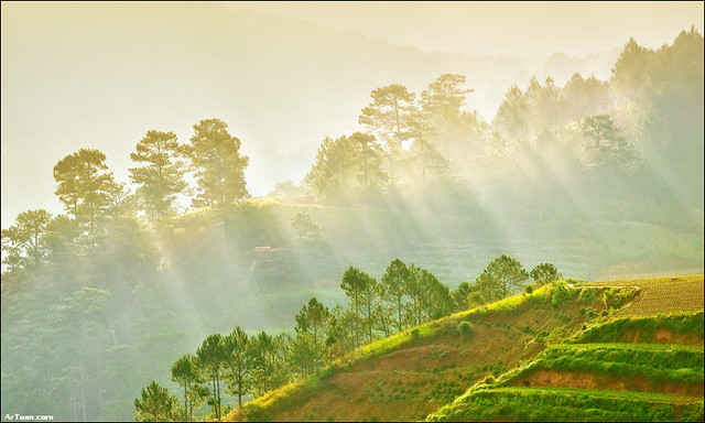 Kinh nghiệm đi Trại Mát
