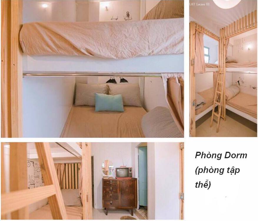 phòng dorm Dalat Lacasa homestay