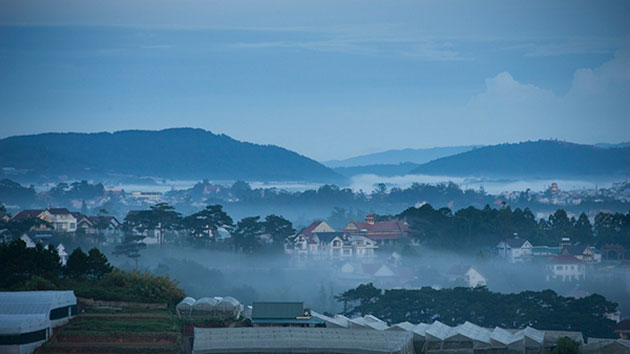 vườn ươm trại mát Đà Lạt
