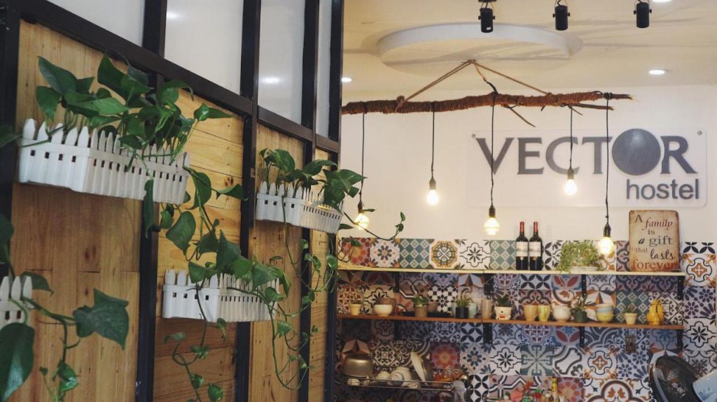 Vector Hostel homestay