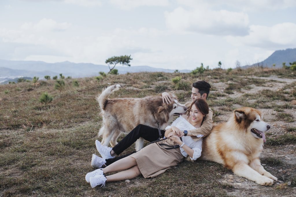 Đồi Thiên Phúc Đức 2019