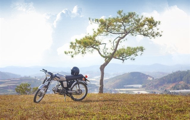 đồi Thiên Phúc Đức tại đà lạt