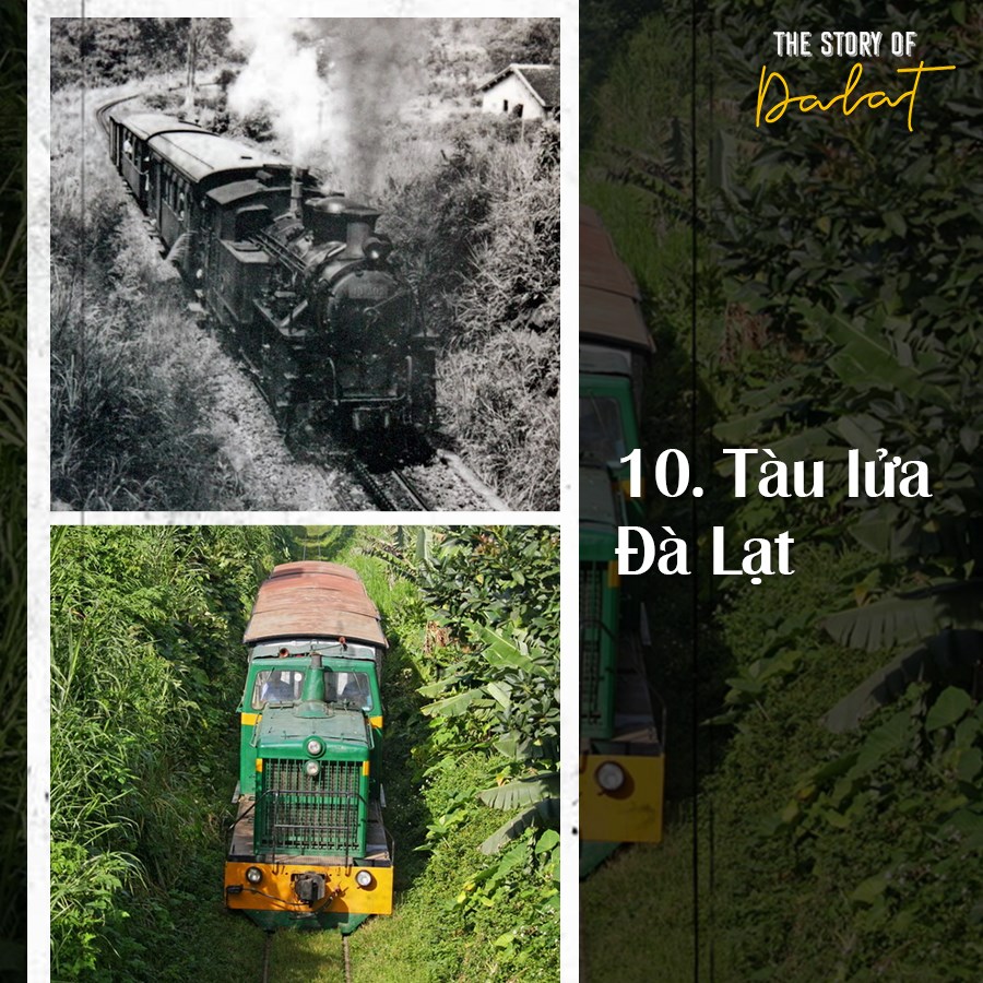 hình ảnh đẹp về thành phố Đà Lạt
