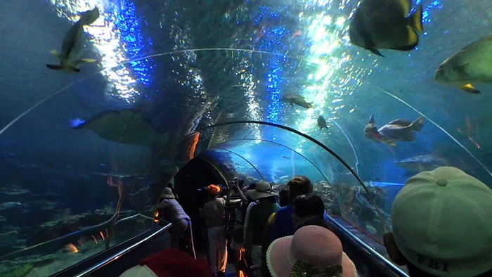 hồ cá trí nguyễn nha trang