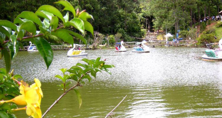 Kinh nghiệm đi Thung Lũng Vàng