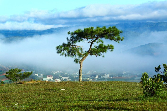 săn mây đồi Thiên Phúc Đức đà lạt