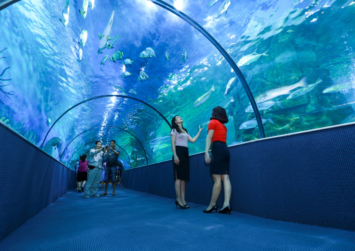 Viện hải dương học