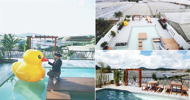 homestay Đà lạt có hồ bơi