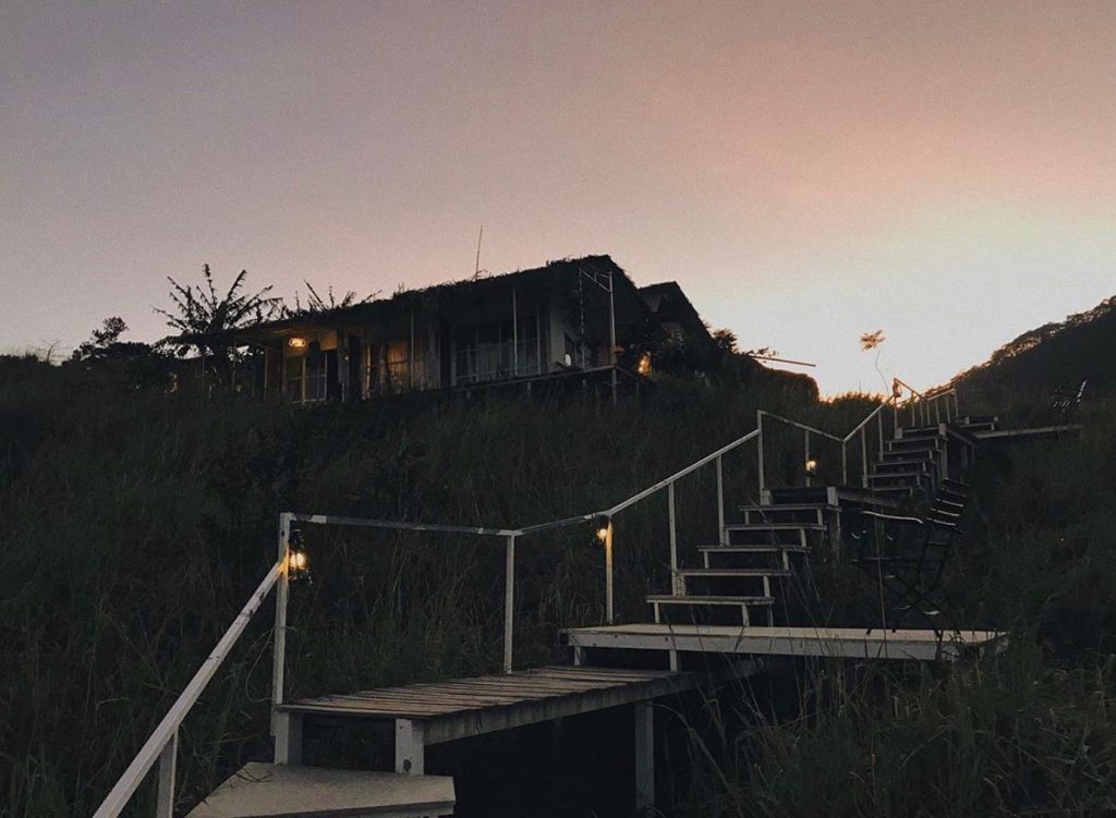 The Wilder nest