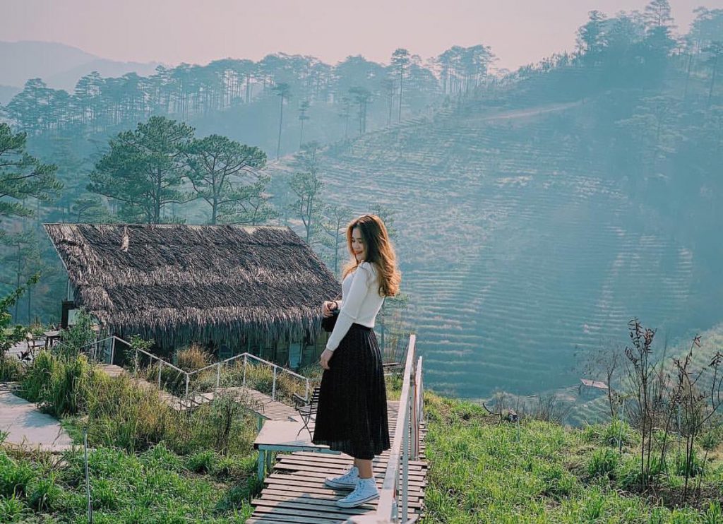 The Wilder-nest đà lạt