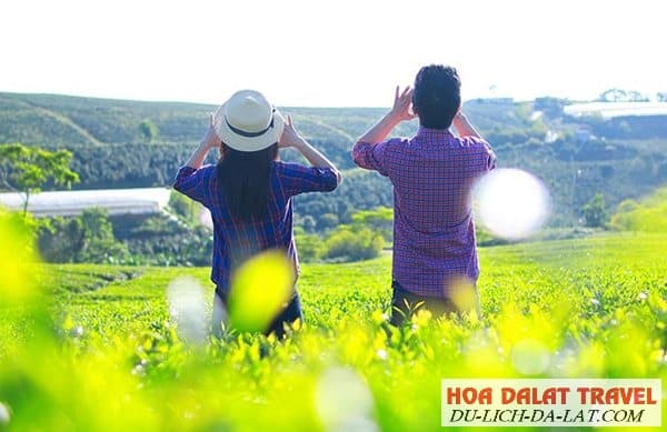 Check in đồi chè cầu đất farm