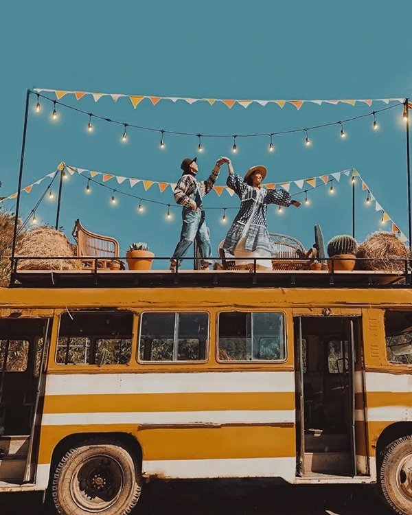 Check in kombi land coffee