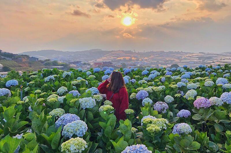 đường đi Cần Thơ