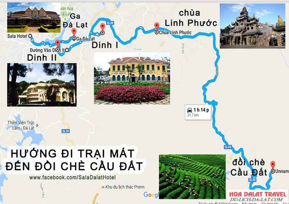 Đường đi đồi chè Cầu Đất Farm