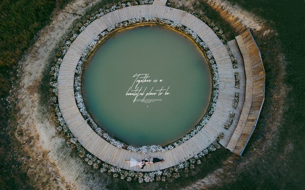 giới thiệu The Wilder nest