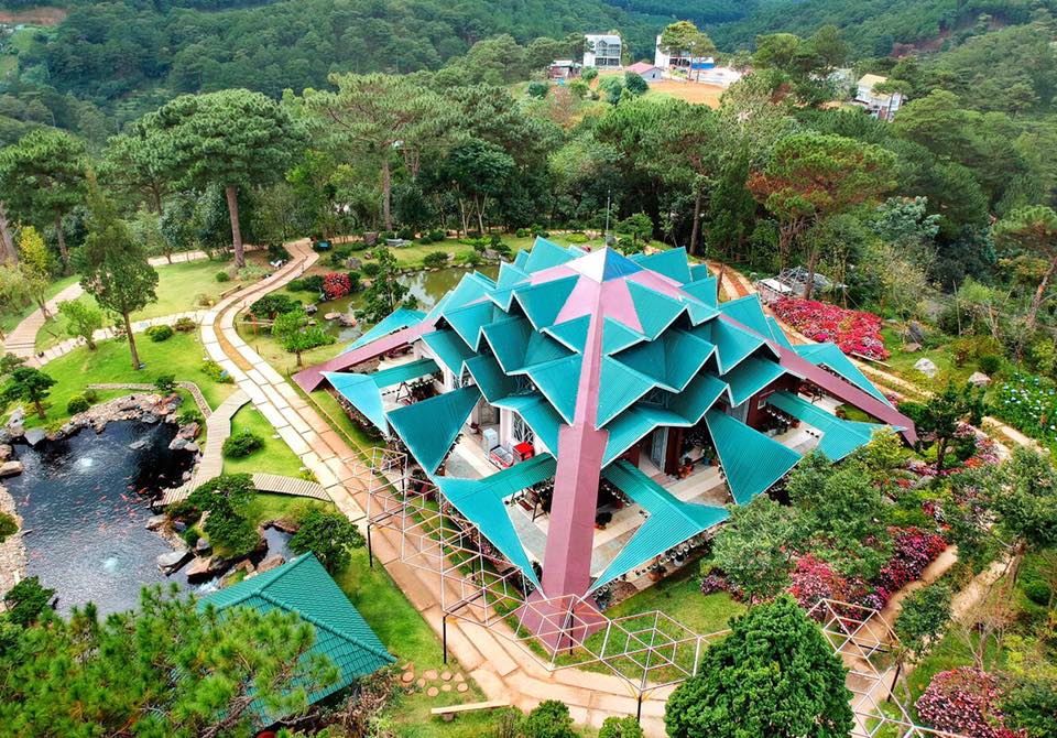 Lá phong tại Đà Lạt