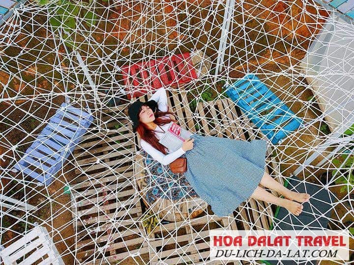 Sunny Farm Đà Lạt có gì