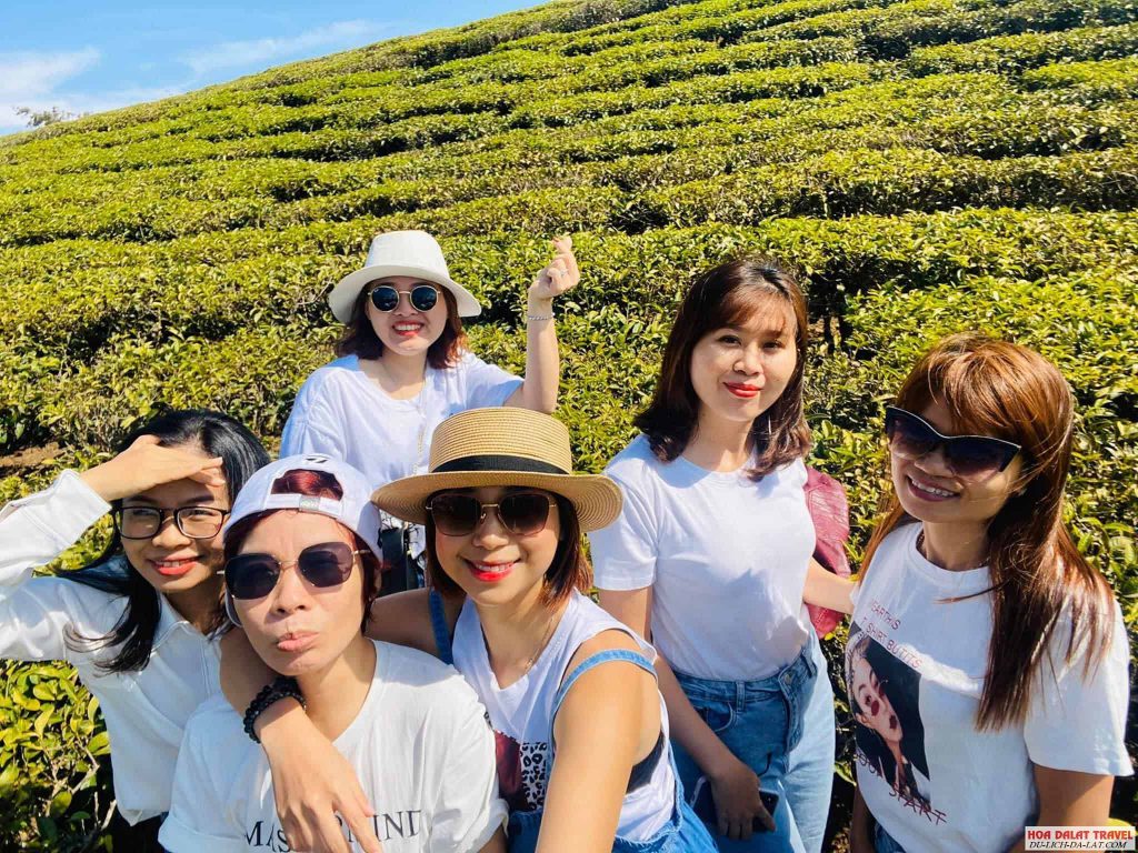 Tour đồi chè Cầu Đất