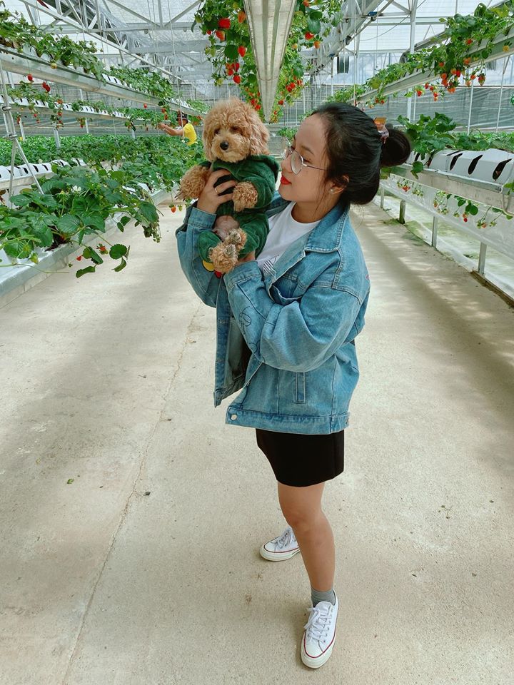 Ảnh chụp ở puppy farm đà lạt