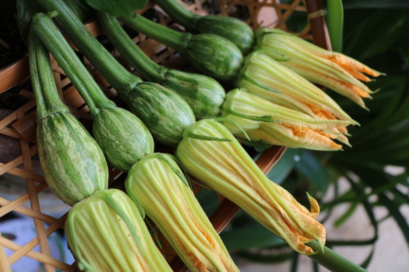 bí bao tử