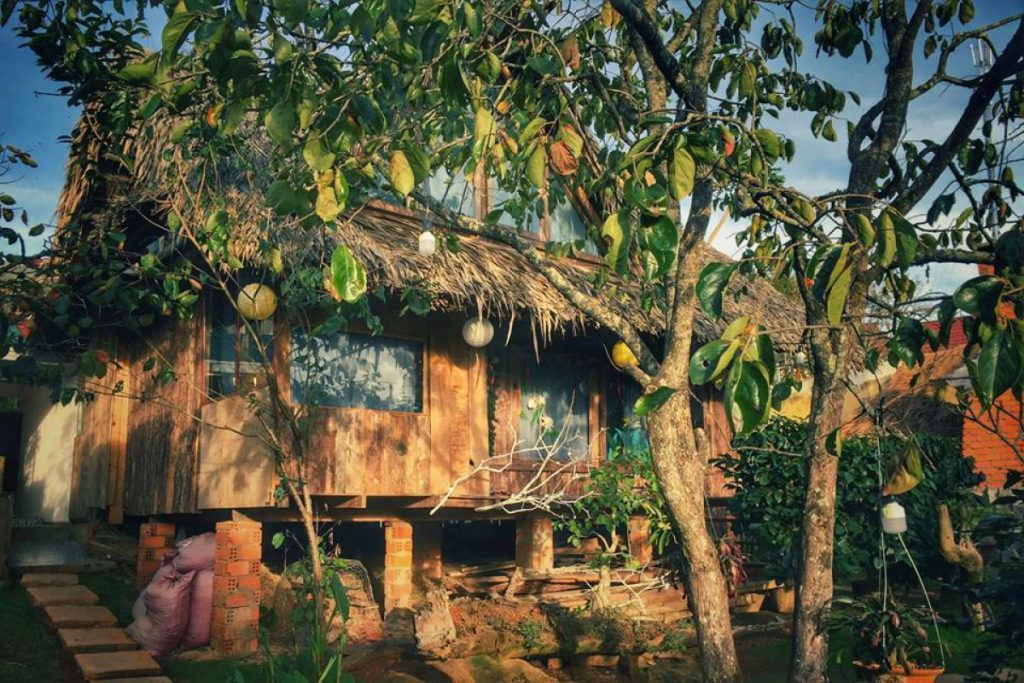 check in Củi 