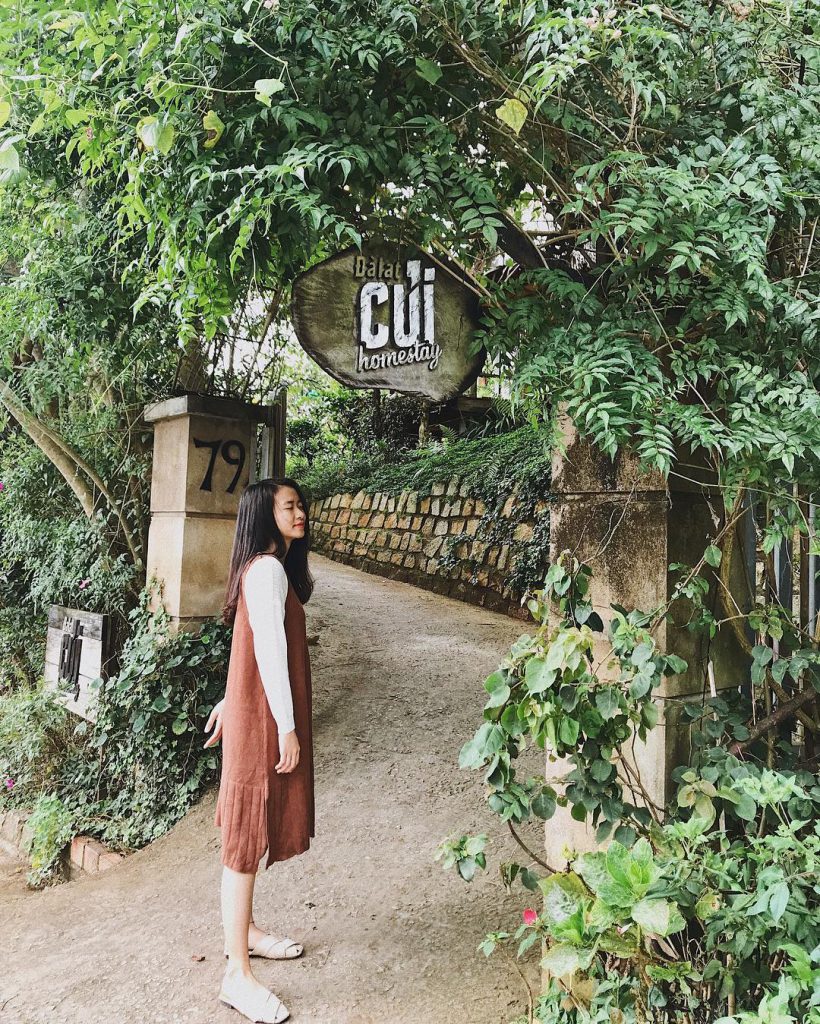Check in củi Đà Lạt