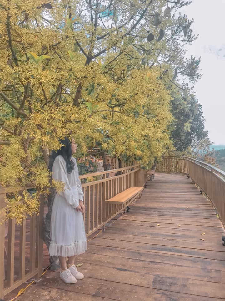 con đường Hàn Quốc