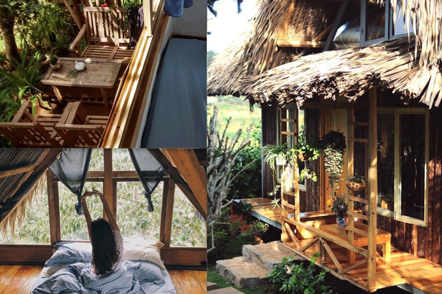 Củi homestay