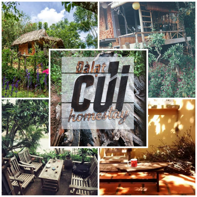 Đà Lạt Củi homestay