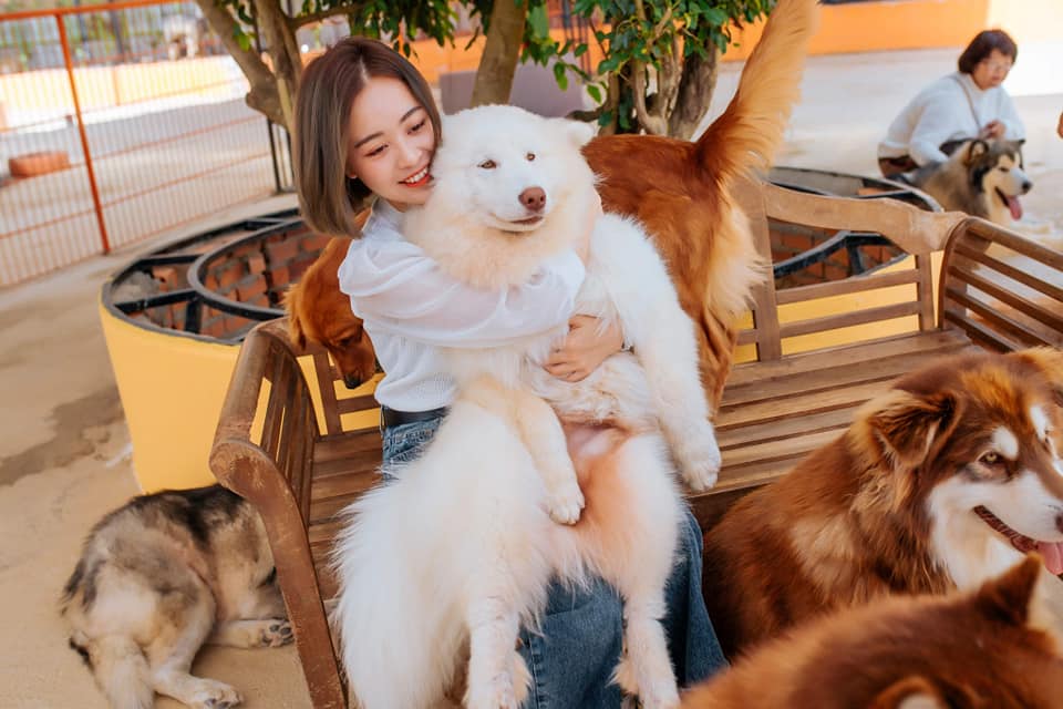 đường đi nông trại cún