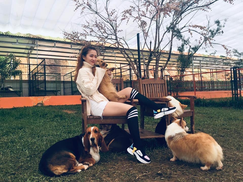 Giá vé Puppy Farm