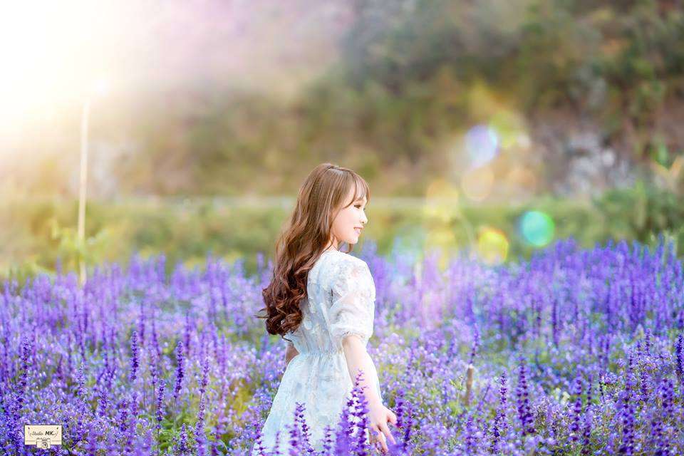 hình ảnh mùa hoa Đà Lạt