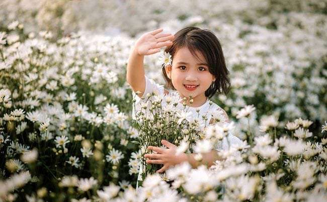 hoa đẹp Đà Lạt