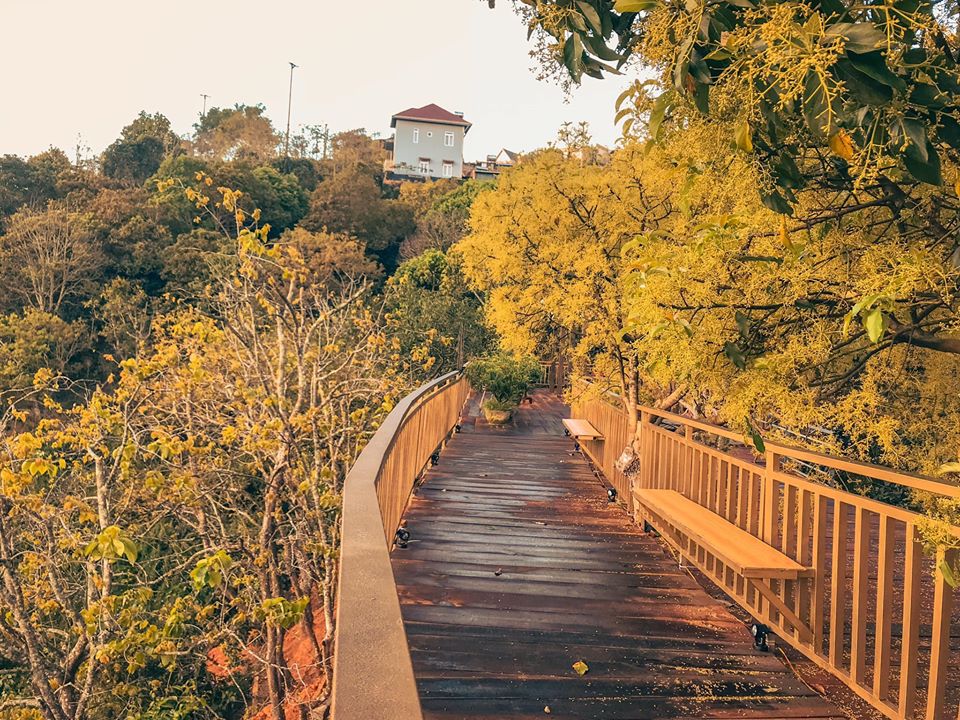Mộc Trà Farn Đà Lạt có gì