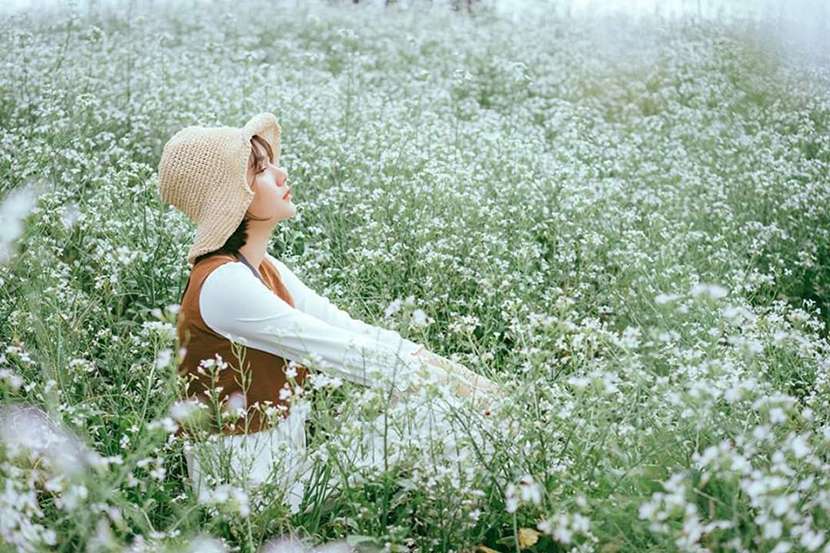 Mùa hoa đẹp nhất ở Đà Lạt