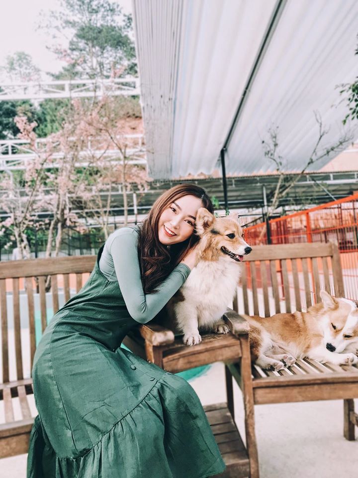 Thông tin liên hệ Puppy Farm