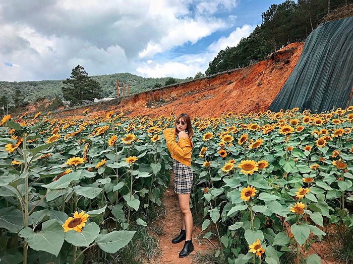 Trang trại chó Đà Lạt