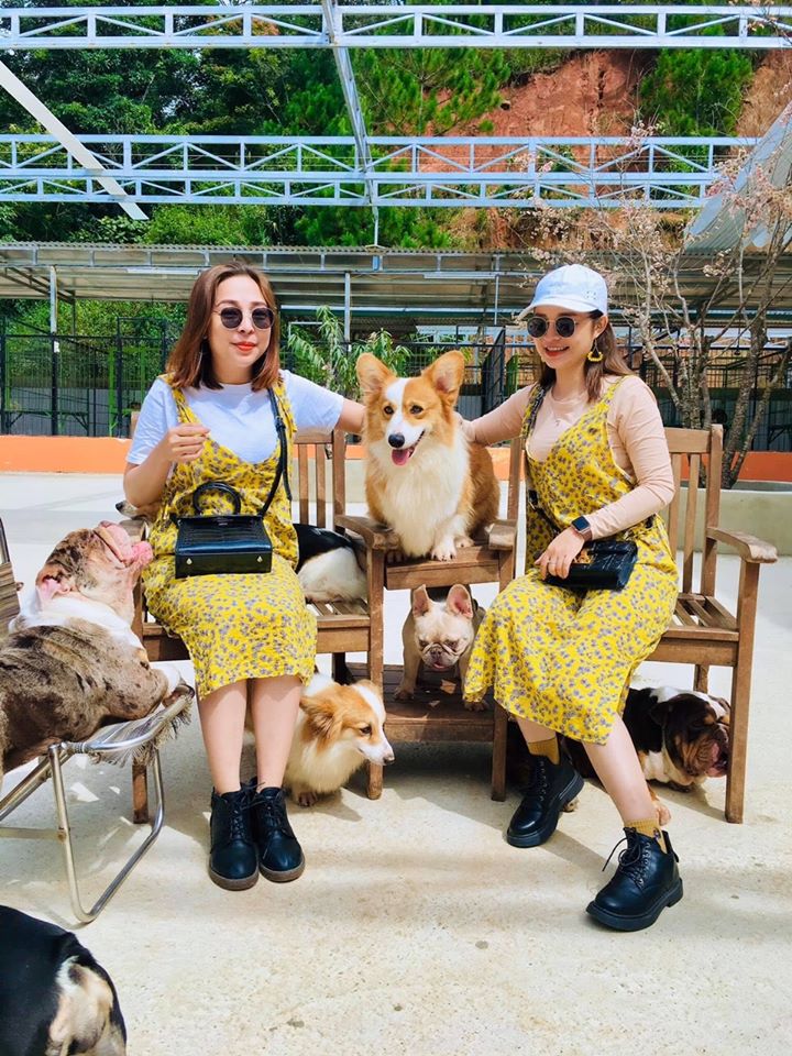 Vì sao phải đến Puppy Farm