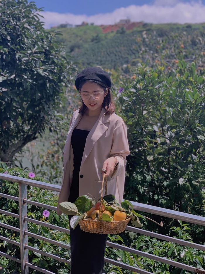 Vườn hồng mộc trà