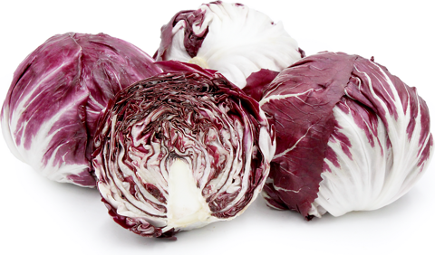 xà lách Radicchio