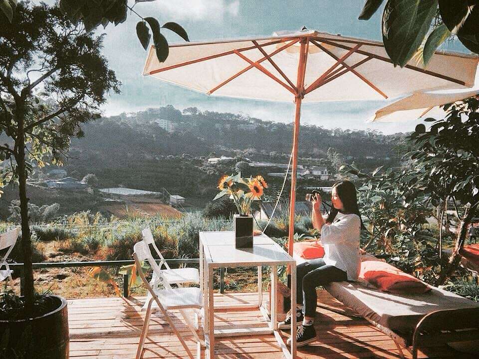 homestay The Shelter