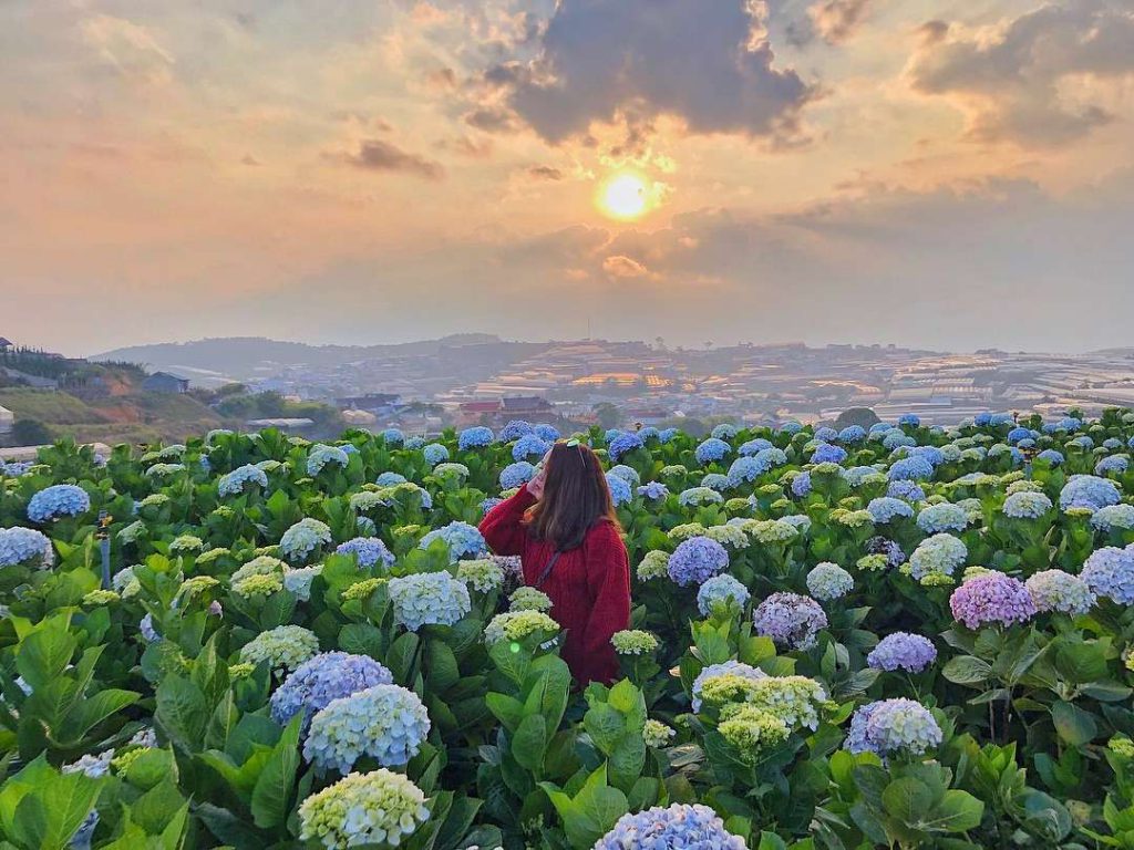 Kinh nghiện du lịch Đà Lạt tháng 6