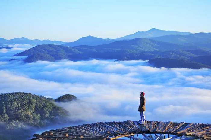 Tháng 6 ở Đà Lạt có hoa gì