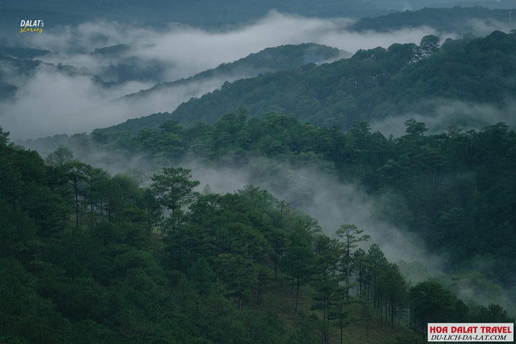 Khí hậu Đà Lạt
