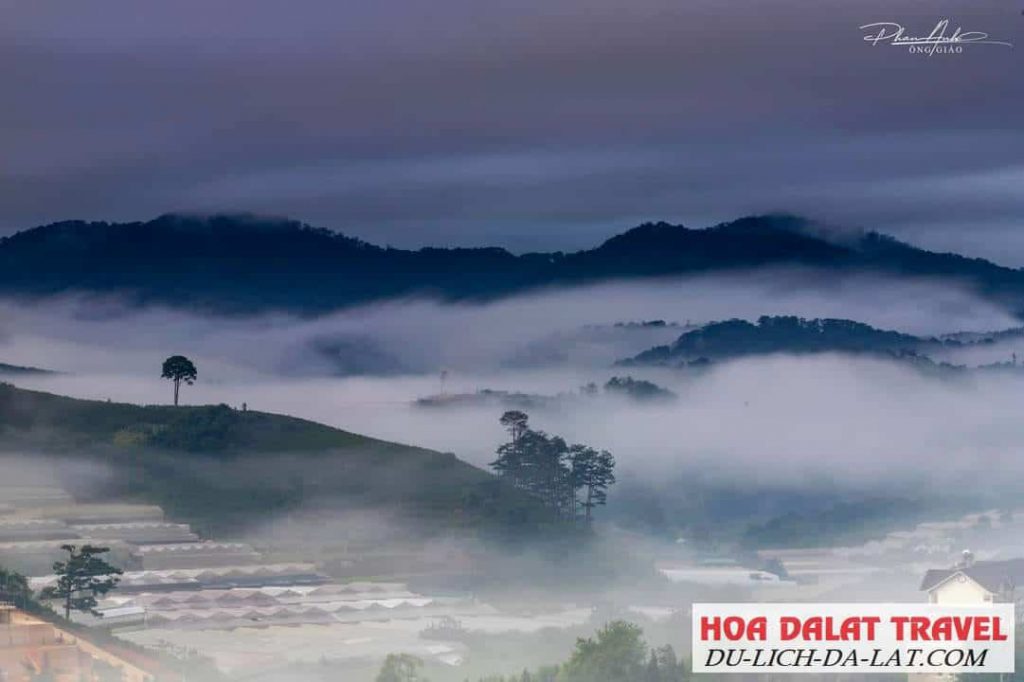 văn hóa Đà Lạt