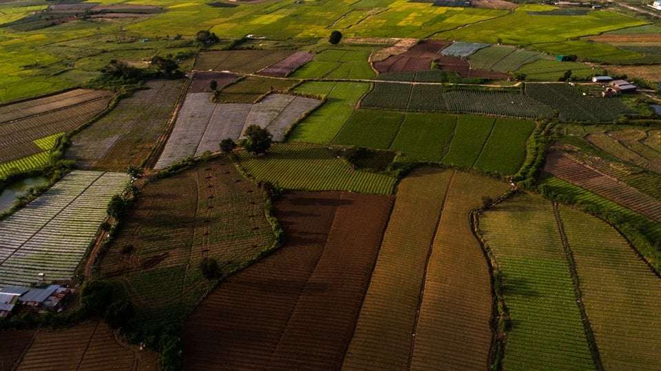 Đức Trọng Lâm Đồng