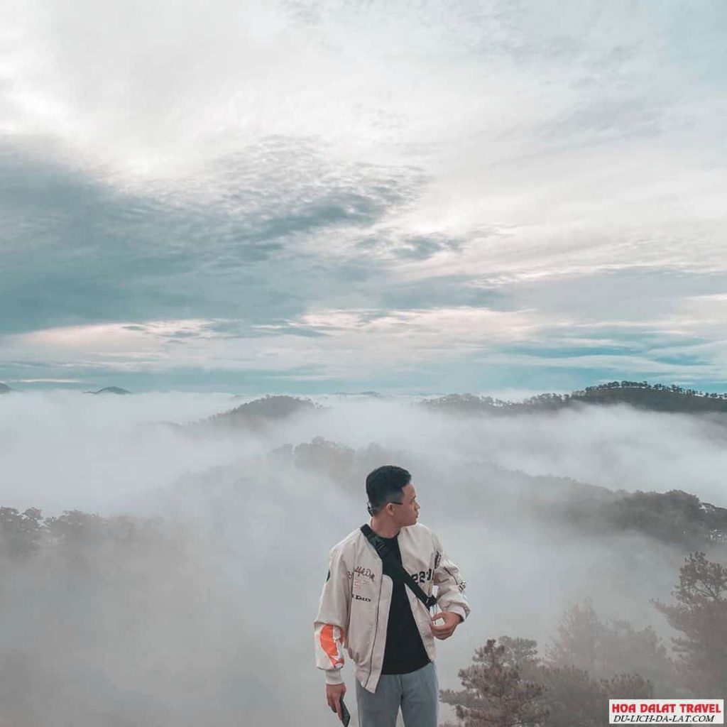 Kinh nghiệm đi tour săn mây Đà Lạt